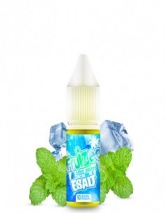 E-Liquide Icee Mint Esalt...