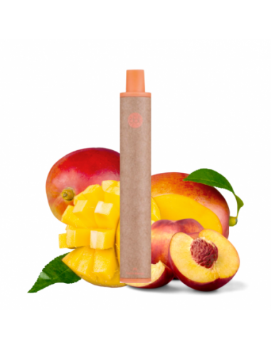 Puff Vape Pen jetable Peach Mango Dot...
