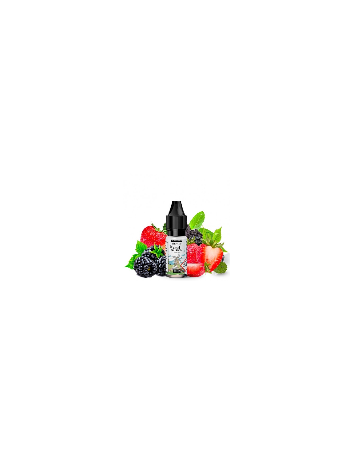 Fraise Mûre (Sels de nicotine) - Printemps - Les 4 Saisons 10ml - Protect Protect - 1