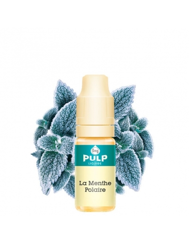 E-liquide Menthe Polaire 10ml - Pulp