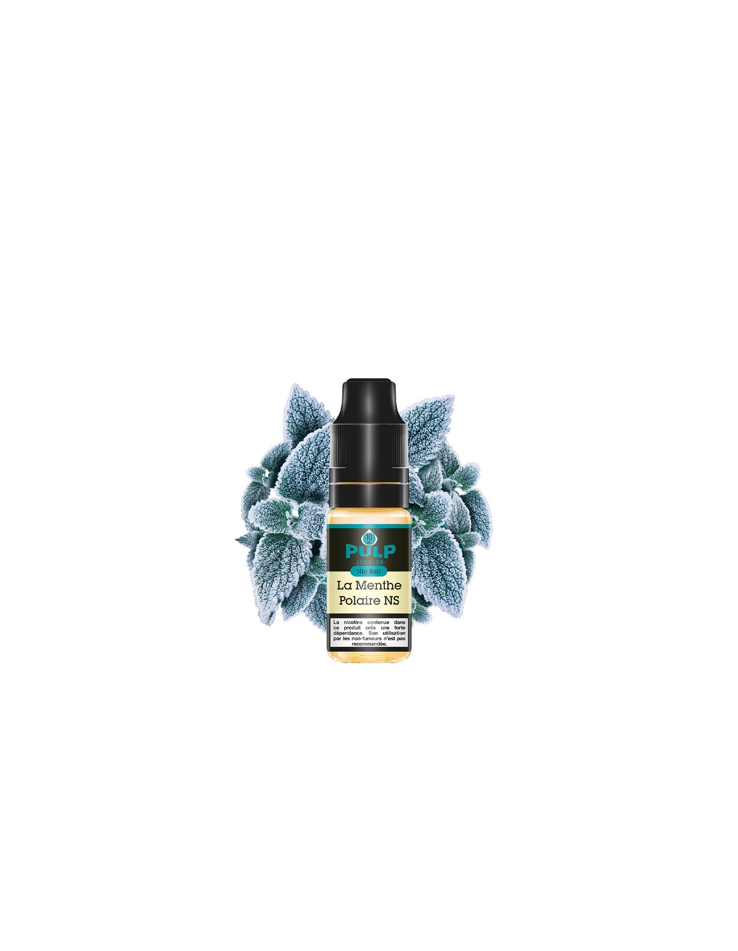E-Liquide La menthe Polaire NS 10ml - Sels de nicotine - Pulp Pulp - 1