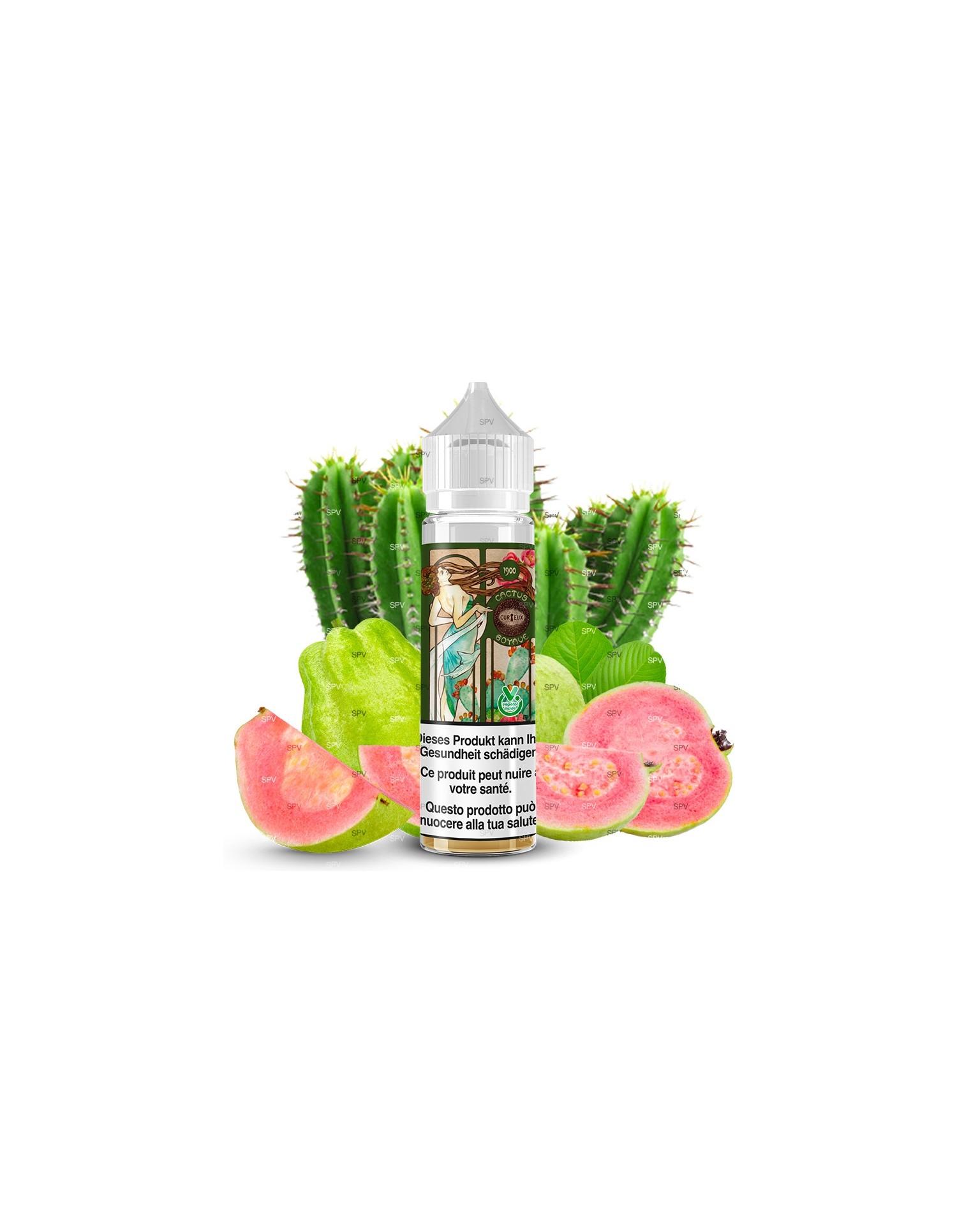 E-Liquide Cactus Goyave Édition 1900 50ml - Curieux Curieux - 1