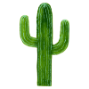 arome-cactus